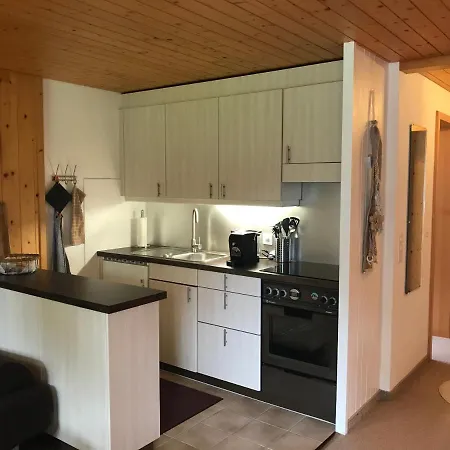 Apartment Sonnegg - Hein Zweisimmen